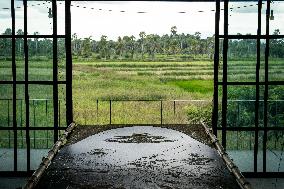 Daily Life In Pattani, Thailand