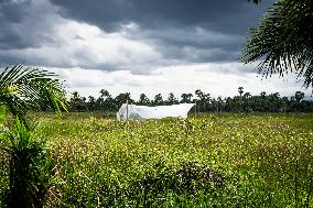 Daily Life In Pattani, Thailand