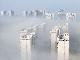 Advection Fog Hit Yantai