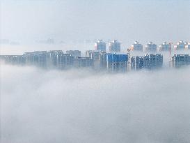 Advection Fog Hit Yantai