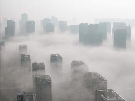 Advection Fog Hit Yantai