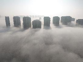 Advection Fog Hit Yantai