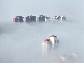 Advection Fog Hit Yantai