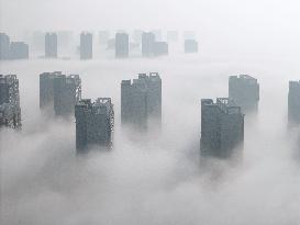 Advection Fog Hit Yantai