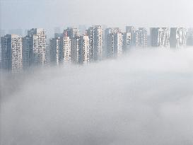 Advection Fog Hit Yantai