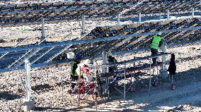 100MW Solar Thermal Power Project