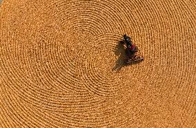 Grain Harvest - China