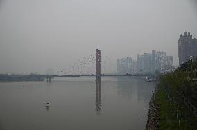 Smog Hit Jilin