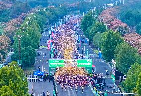 2024 Paddy Field Wetland Marathon