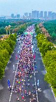 2024 Paddy Field Wetland Marathon