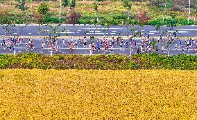 2024 Paddy Field Wetland Marathon