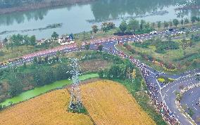 2024 Paddy Field Wetland Marathon