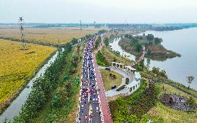 2024 Paddy Field Wetland Marathon