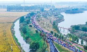 2024 Paddy Field Wetland Marathon