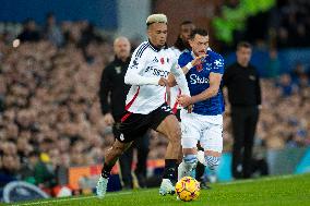 Everton FC v Fulham FC - Premier League