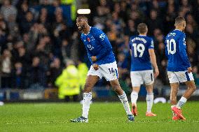 Everton FC v Fulham FC - Premier League