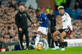 Everton FC v Fulham FC - Premier League