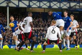 Everton FC v Fulham FC - Premier League