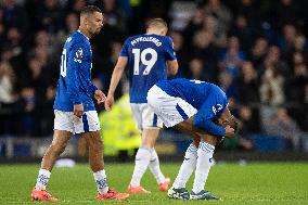 Everton FC v Fulham FC - Premier League