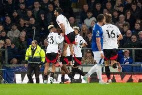 Everton FC v Fulham FC - Premier League