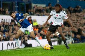 Everton FC v Fulham FC - Premier League