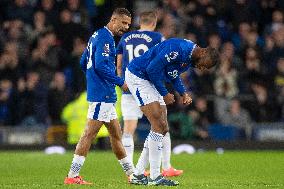 Everton FC v Fulham FC - Premier League