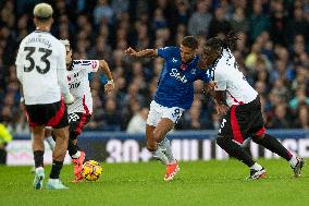 Everton FC v Fulham FC - Premier League