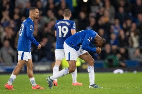 Everton FC v Fulham FC - Premier League