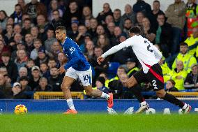 Everton FC v Fulham FC - Premier League