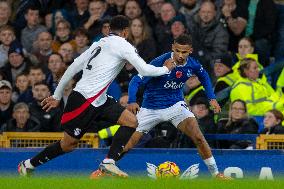 Everton FC v Fulham FC - Premier League