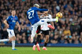 Everton FC v Fulham FC - Premier League