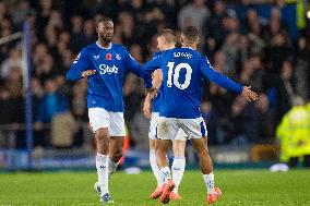 Everton FC v Fulham FC - Premier League