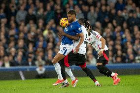 Everton FC v Fulham FC - Premier League