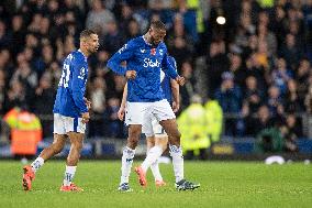 Everton FC v Fulham FC - Premier League