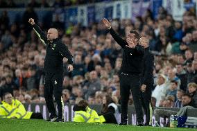 Everton FC v Fulham FC - Premier League