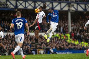 Everton FC v Fulham FC - Premier League