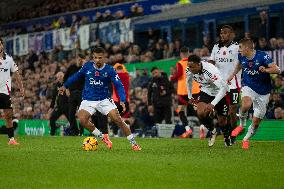 Everton FC v Fulham FC - Premier League