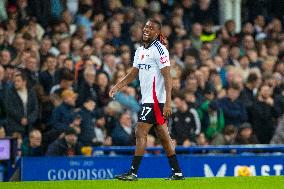 Everton FC v Fulham FC - Premier League