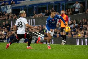 Everton FC v Fulham FC - Premier League