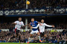 Everton FC v Fulham FC - Premier League