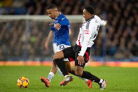 Everton FC v Fulham FC - Premier League