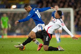 Everton FC v Fulham FC - Premier League