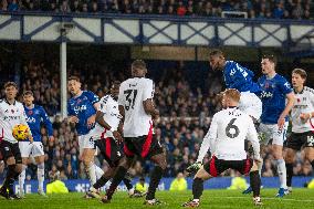 Everton FC v Fulham FC - Premier League