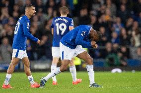 Everton FC v Fulham FC - Premier League