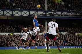 Everton FC v Fulham FC - Premier League