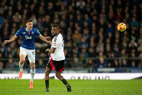 Everton FC v Fulham FC - Premier League