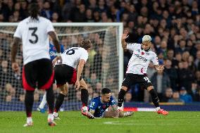 Everton FC v Fulham FC - Premier League