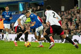 Everton FC v Fulham FC - Premier League