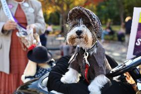 Washington Square Park Dog Halloween