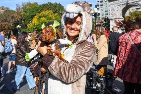 Washington Square Park Dog Halloween